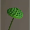 green 03