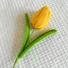 #6 dark yellow tulip