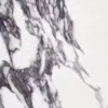 Statuario Noir