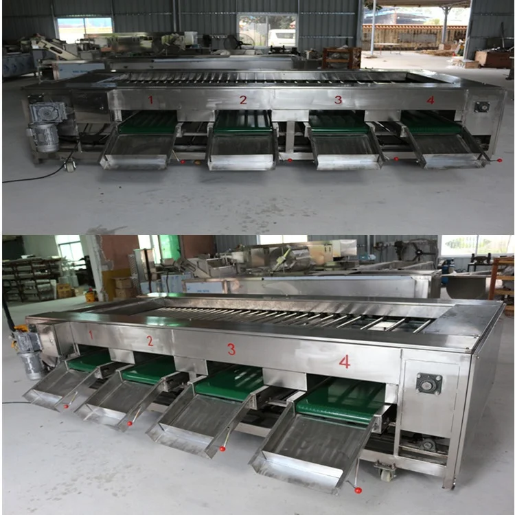 Professional Fruit Citrus Sorting Machine Lemon Grading Machine