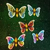 butterfly 1
