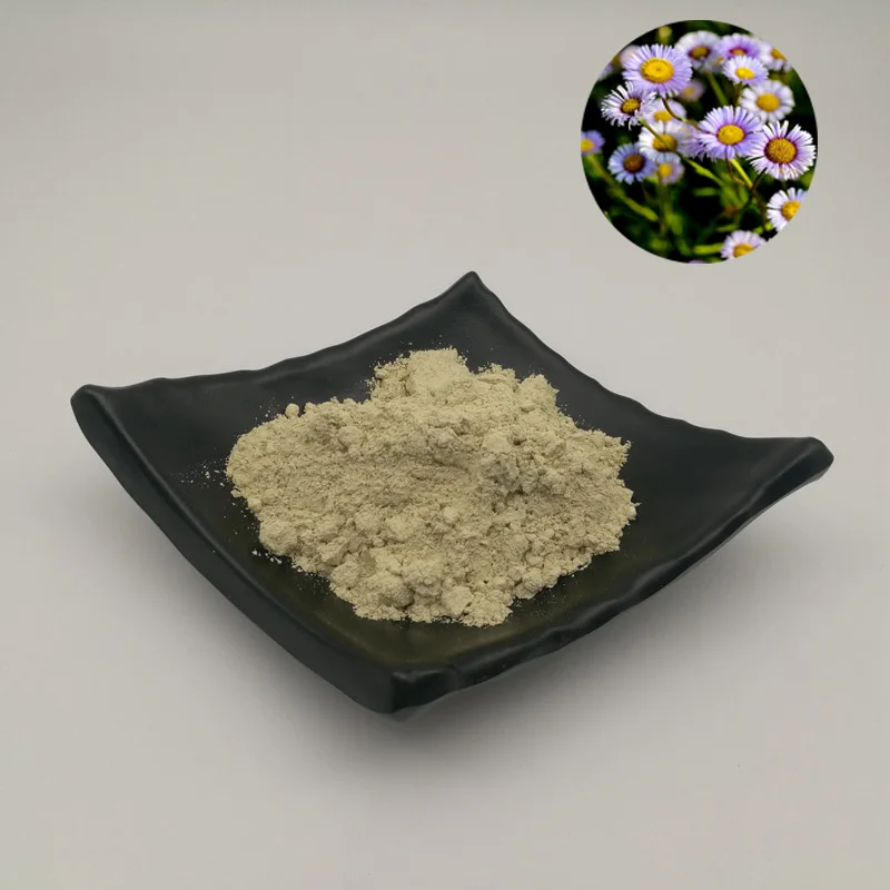 Organic Factory Supply Erigeron Breviscapus Extract Breviscapine Cas 116122-36-2 view 4