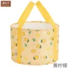 Medium 30*20CM Yellow Lemon