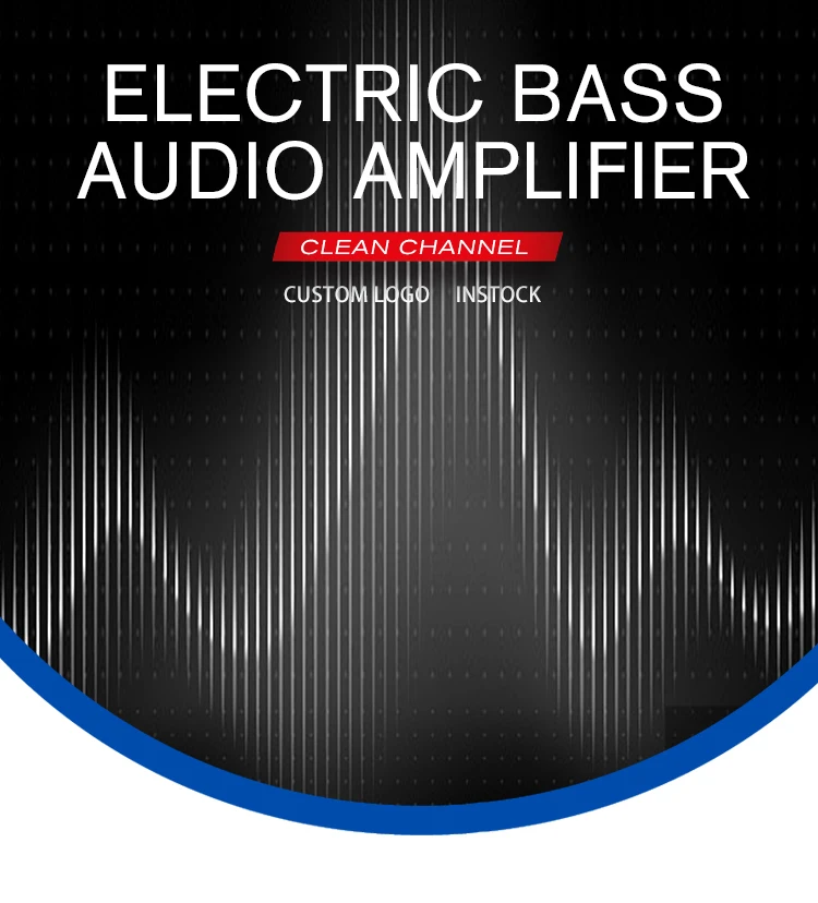 High Quality Bass Amplifier And Speakers Combo Lb100w Buy Bass Guitar Speaker,Bass Guitar Amp