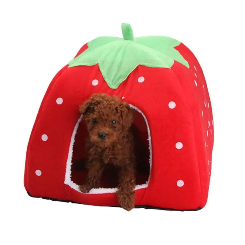 strawberry dog bed