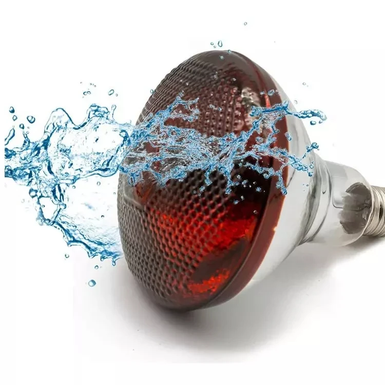 Взрывозащищенная Инфракрасная тепловая лампа R95 R125 нагревательная для домашних животных подогреватели домашней