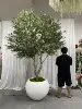 2.8M/9,19ft; Con la pentola