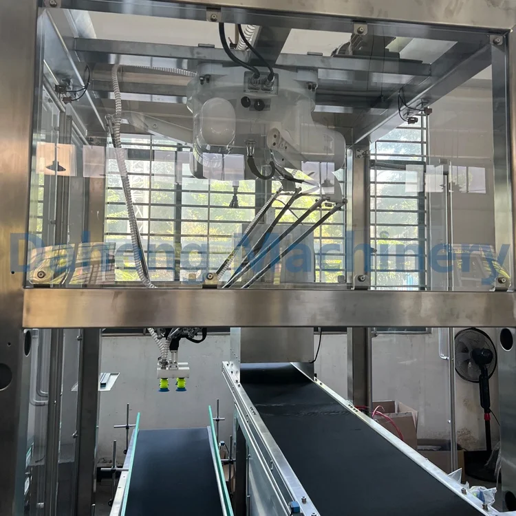 DHZX-80B Automatic Cartoning Machine - Efficient & Reliable