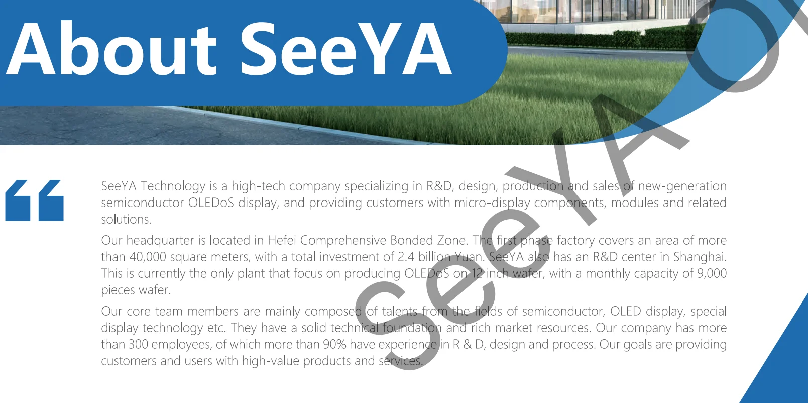 SeeYA-1.jpg