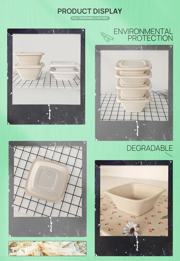 Wholesale Biodegradable Disposable Sugarcane Bagasse Paper Pulp Mould ...