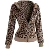 Brown Leopard