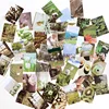 Sussurri della foresta