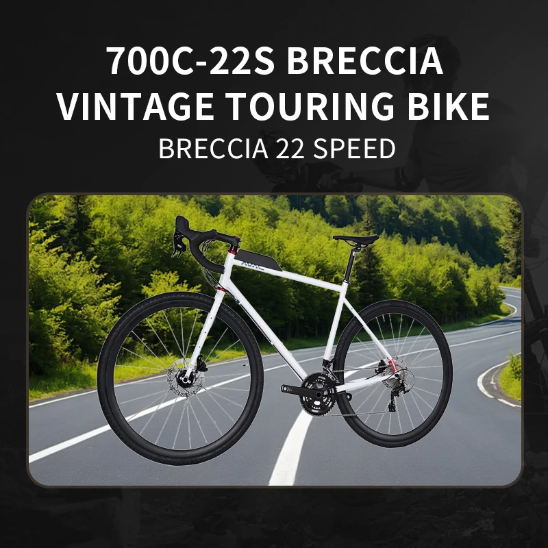 BILLATO ロードバイク 700C JAVA BRECCIAロードバイク22スピードL-TWOO R9スチールディスク