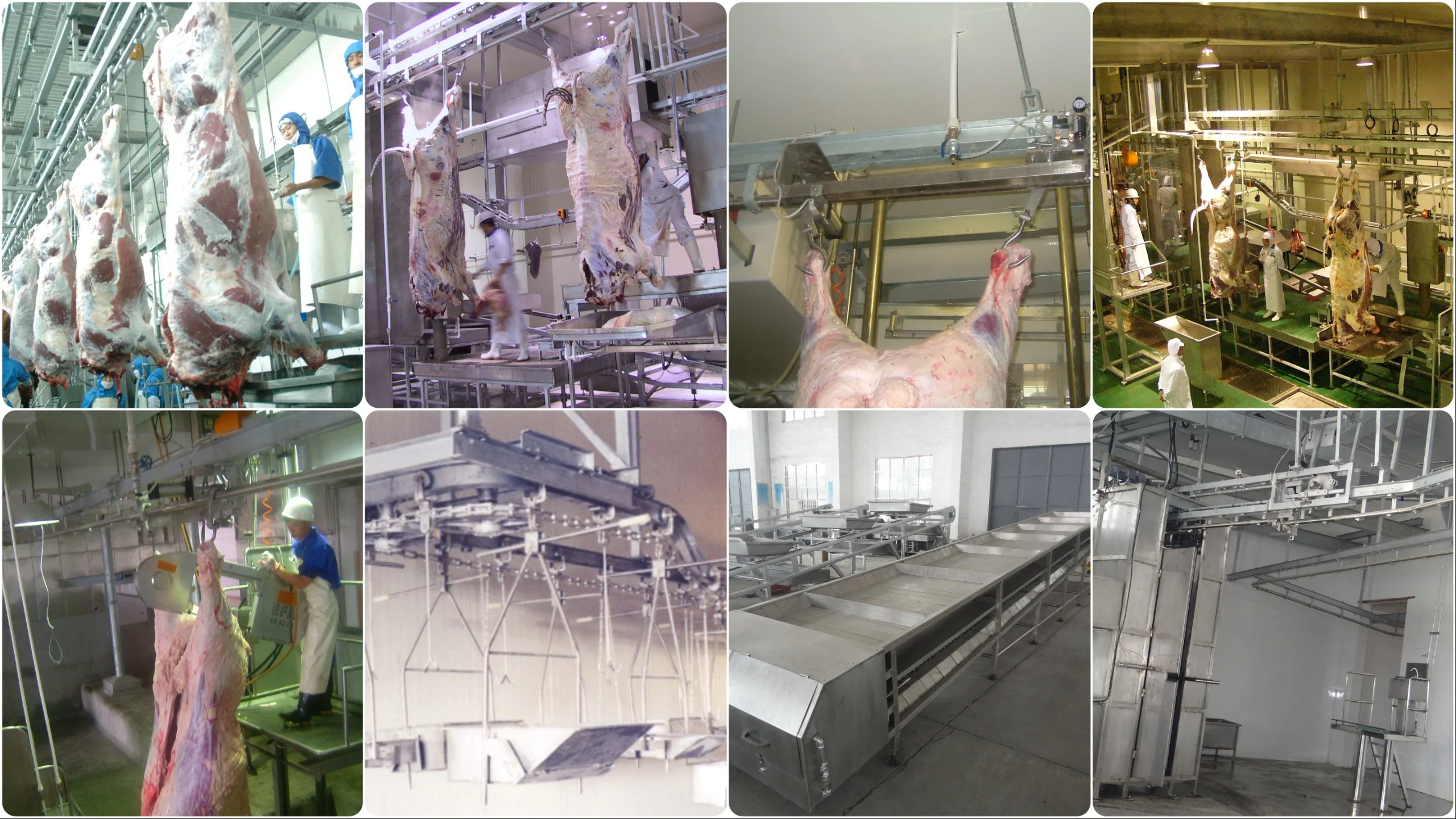Automatic and efficient cow slaughtering production line equipment for modern slaughterhouses for cattle, sheep, chicken and pigs
