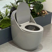Sanitary Ware Toilets One Piece Modern Bathroom Wc Toilet Bowl Siphonic Toilet Ceramic Sanitary Wares