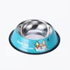 Sky blue corgi