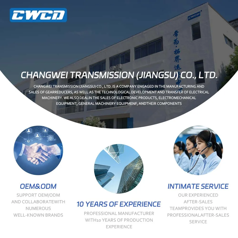 CWK/CWKR Series High Precision Planetary Gearbox Customizable DPGR Servo Motor Speed Reducers Helical Gear Reducer