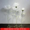 White three-base