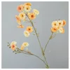 Arancione