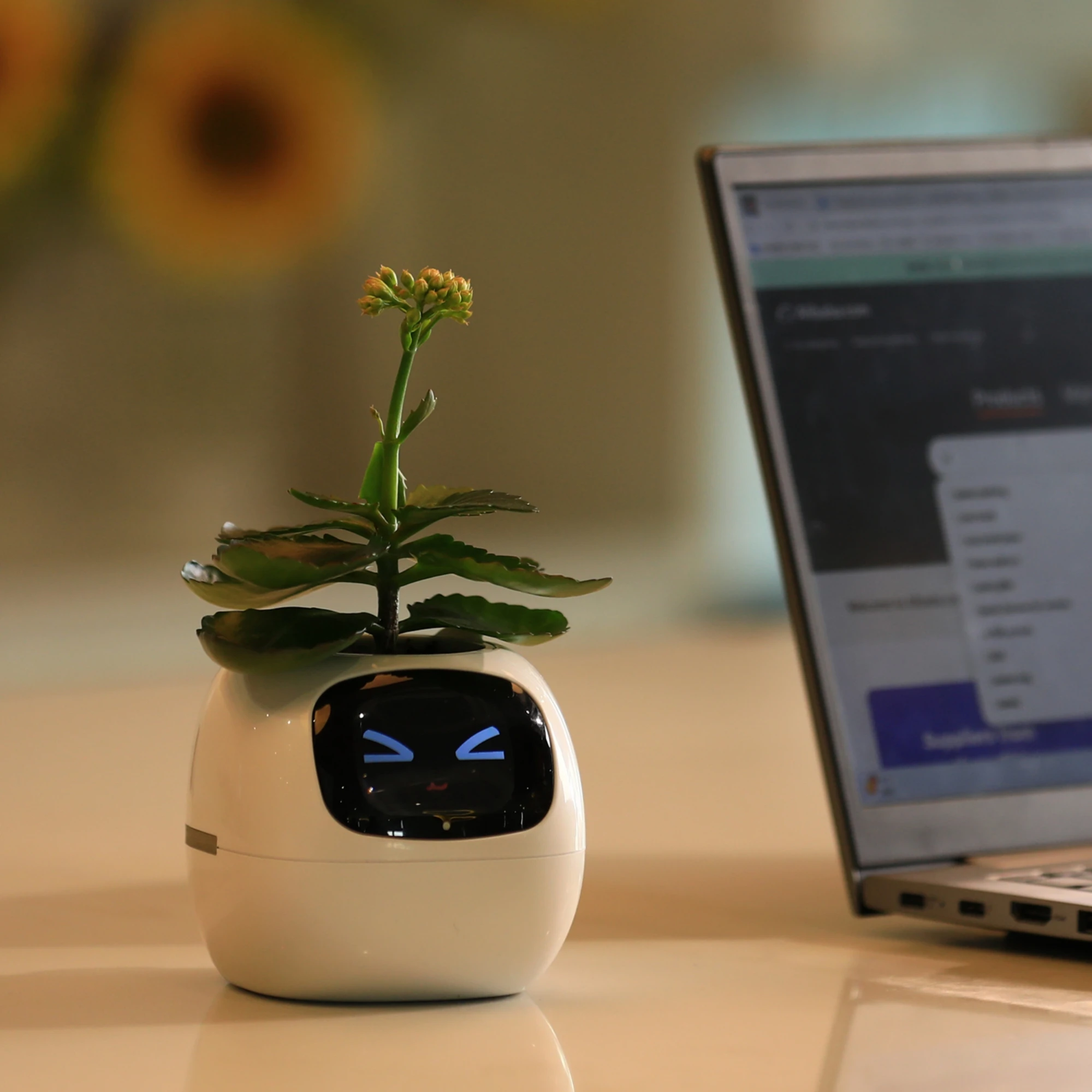 Smart Mimi Flower Pot AI Sensor Time Temperature Display Smart Flower Pot  Smart Planter APP Control Flower Pot