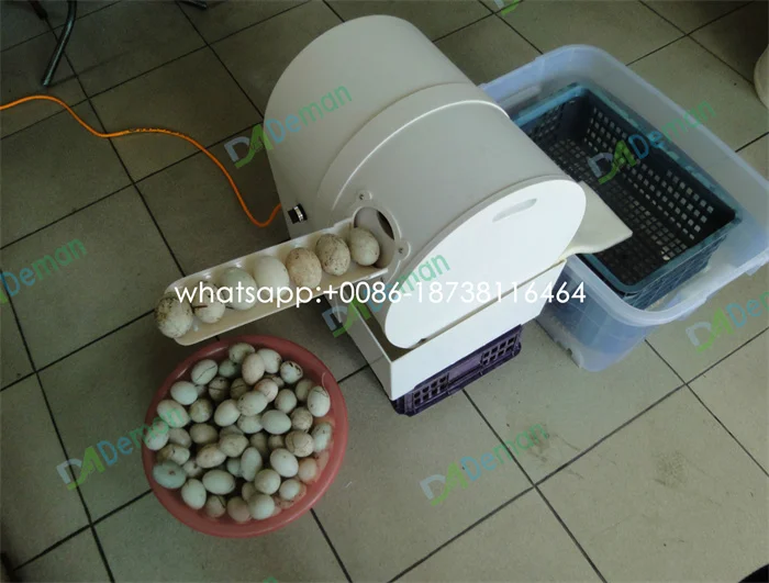 H Fresh Egg Washer Machine Dirty Quail Eggs Cleaning Maker From Topnotch66,  $984.93