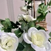 Rose vine with 16 white flowers [large flowers] [1 vine]