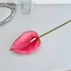 Rosa intenso