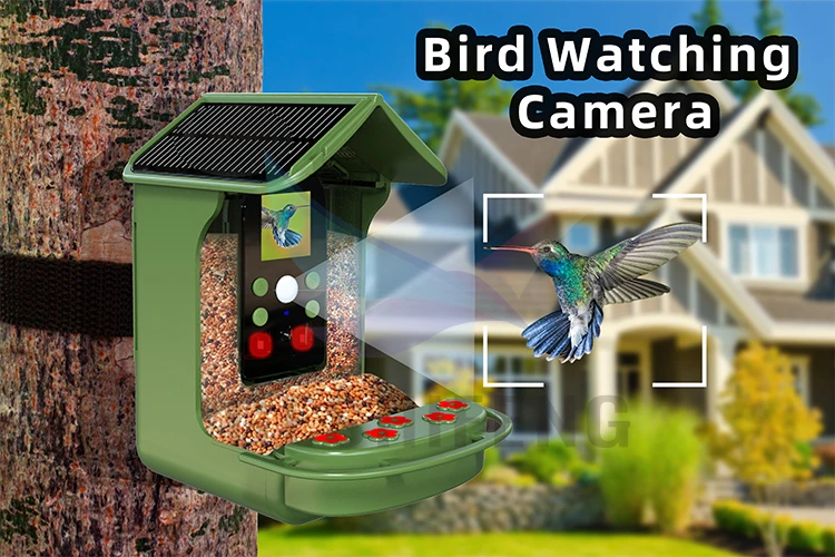 Outdoor Wildlife Solar Power Bird Feeder Camera Capture Pictures Photos ...