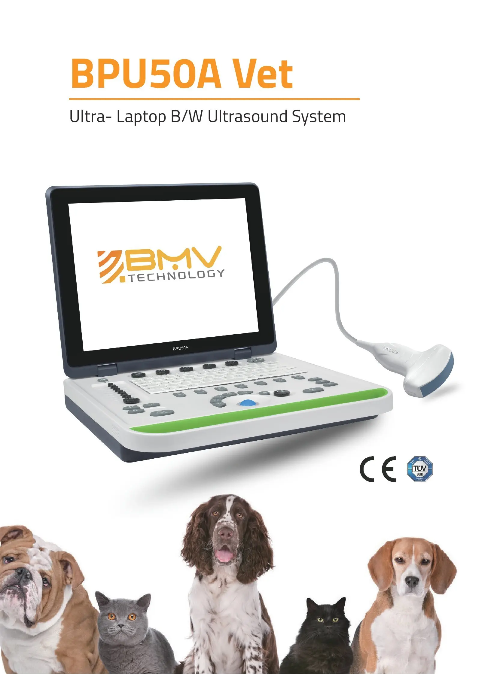 how much does a ultrasound for a dog cost