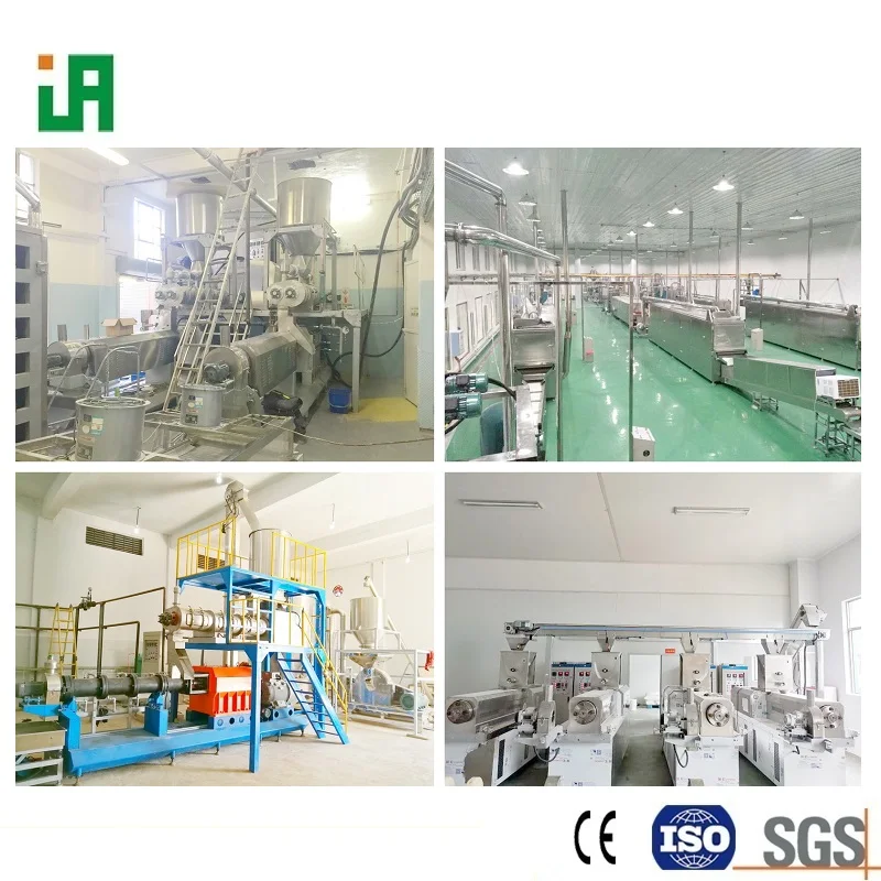 Extruded Couscous and Artificial Rice Processing Line Machinery and Equipment in Morocco, Algeria, Tunisia, Libya, and Mali