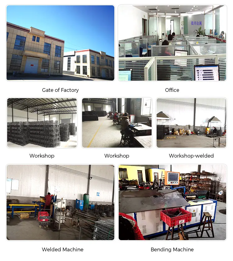 Liebang 380g Animal Traps Raccoon Leg Hold Coil Spring Trap Powerful