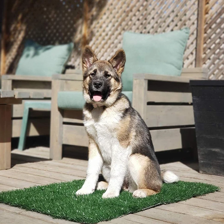 Indoor Porch Potty Eco-Friendly Artificial Grass for Dogs