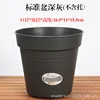 Standard 170 dark gray