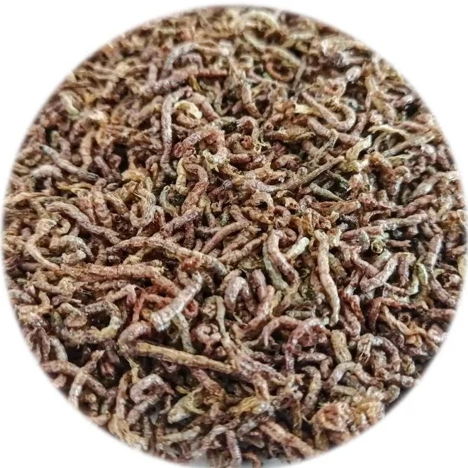 Aguav Bloodworms-Freeze Dried 250ml – Krys Aqua