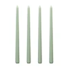 Willow bud green