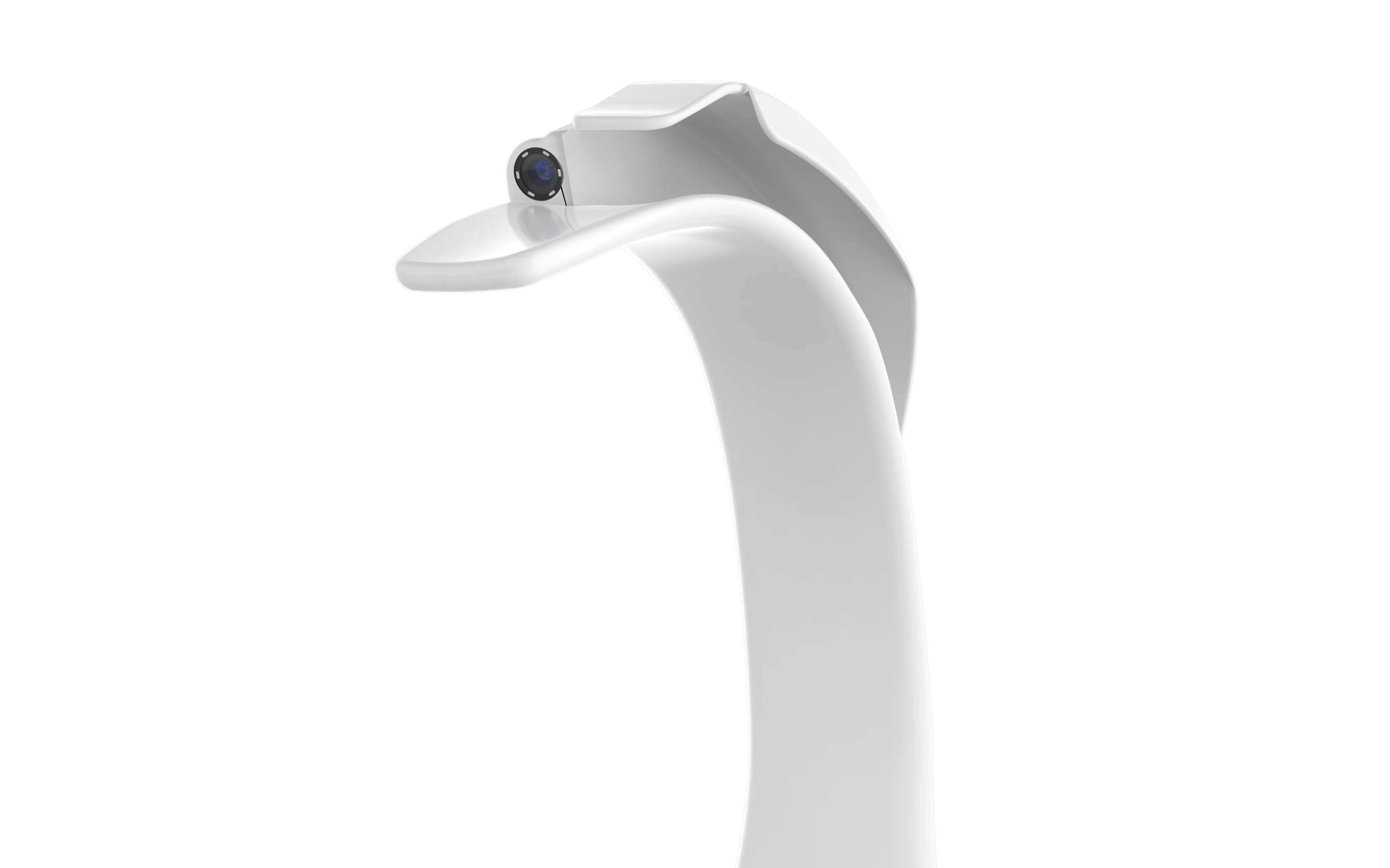 Cheap Wholesale Keychain Besdata Video /otoscope/sinuscope/rgid