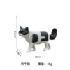 Bicolor Cat / Cow Cat