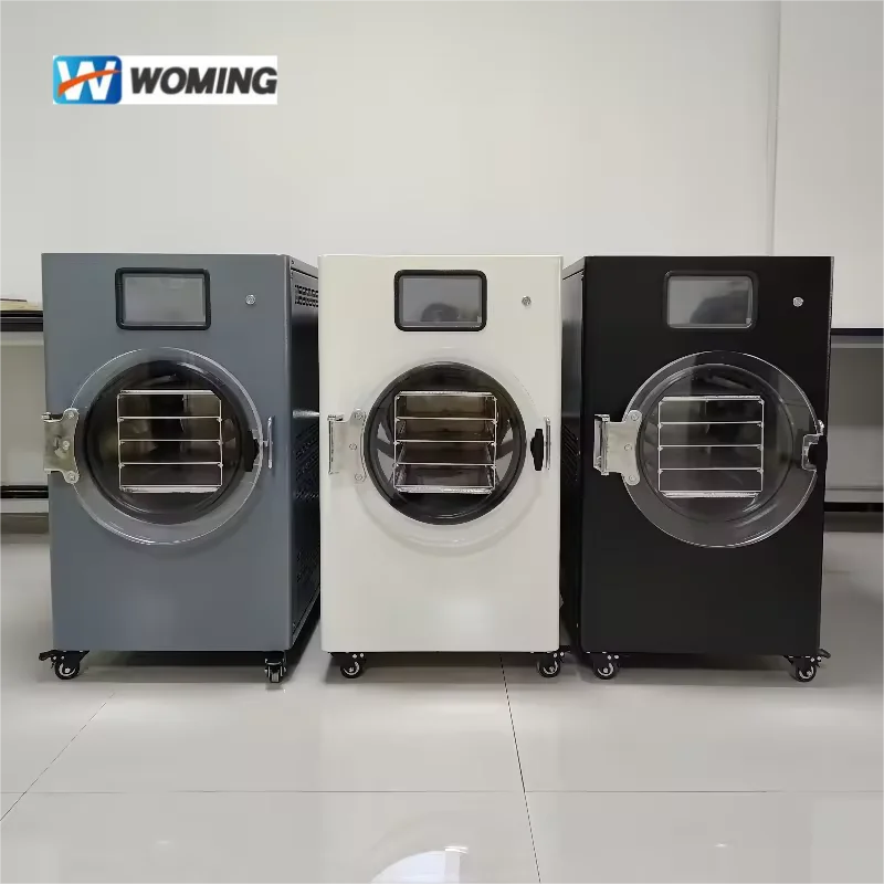 Woming Factory Direct Customized Mini Freeze Dryer 2kg Food Fruit Candy  Dryer Machine Home Use Lyophilizer HFD-1