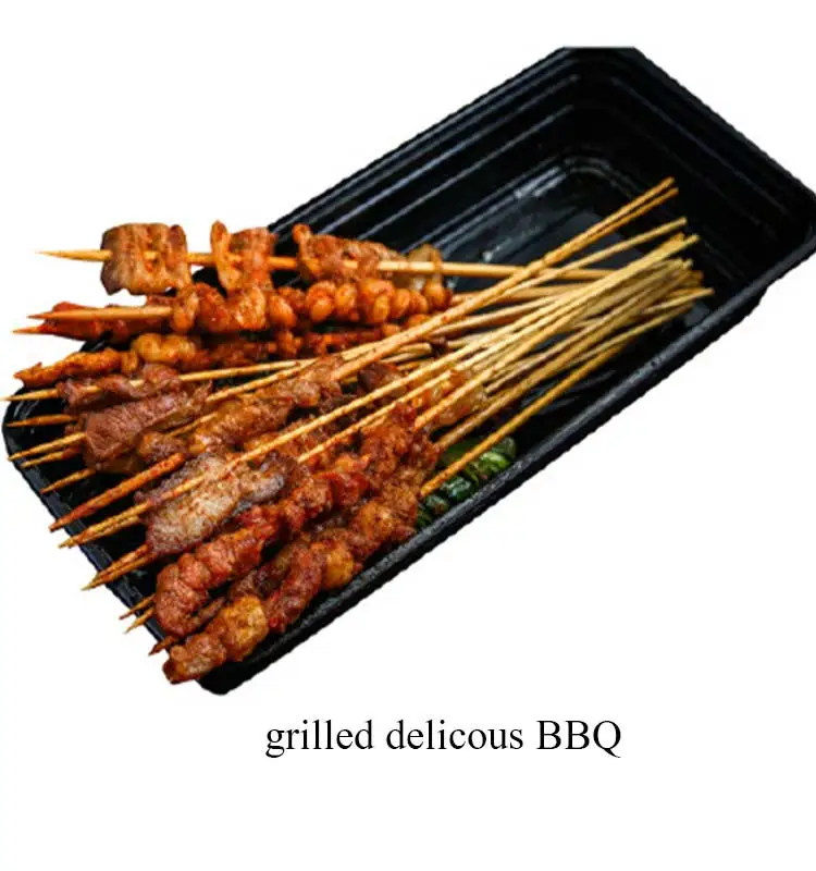 Commercial Food Camping Household Indoor Outdoor Portable Electric