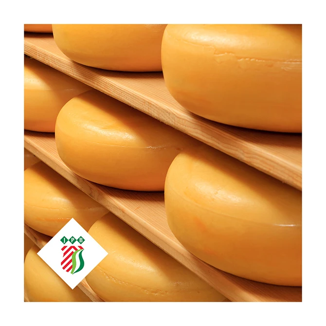 Голландские голландские товары Премиум-Качества Emmental cheese Holland оптом
