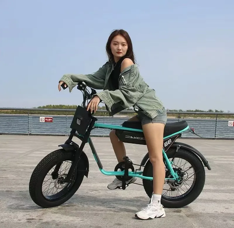 2025 FAT TIRE MODEL ZX 20*4.0inch Ebike - 48V750W/1500W