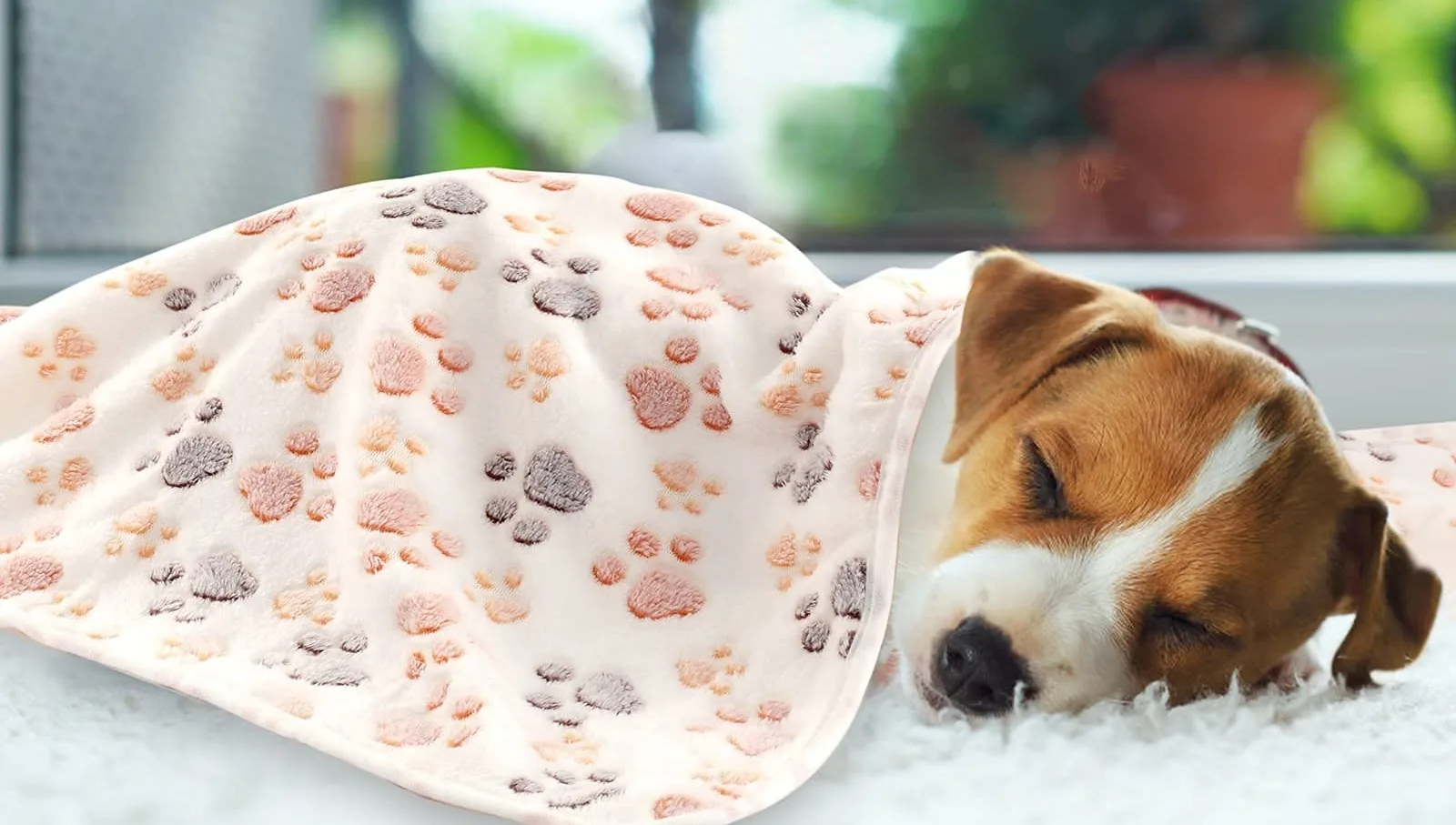 luciphia Blankets Super Soft Fluffy Premium Fleece Pet Blanket Flannel Throw for Dog Puppy Cat 