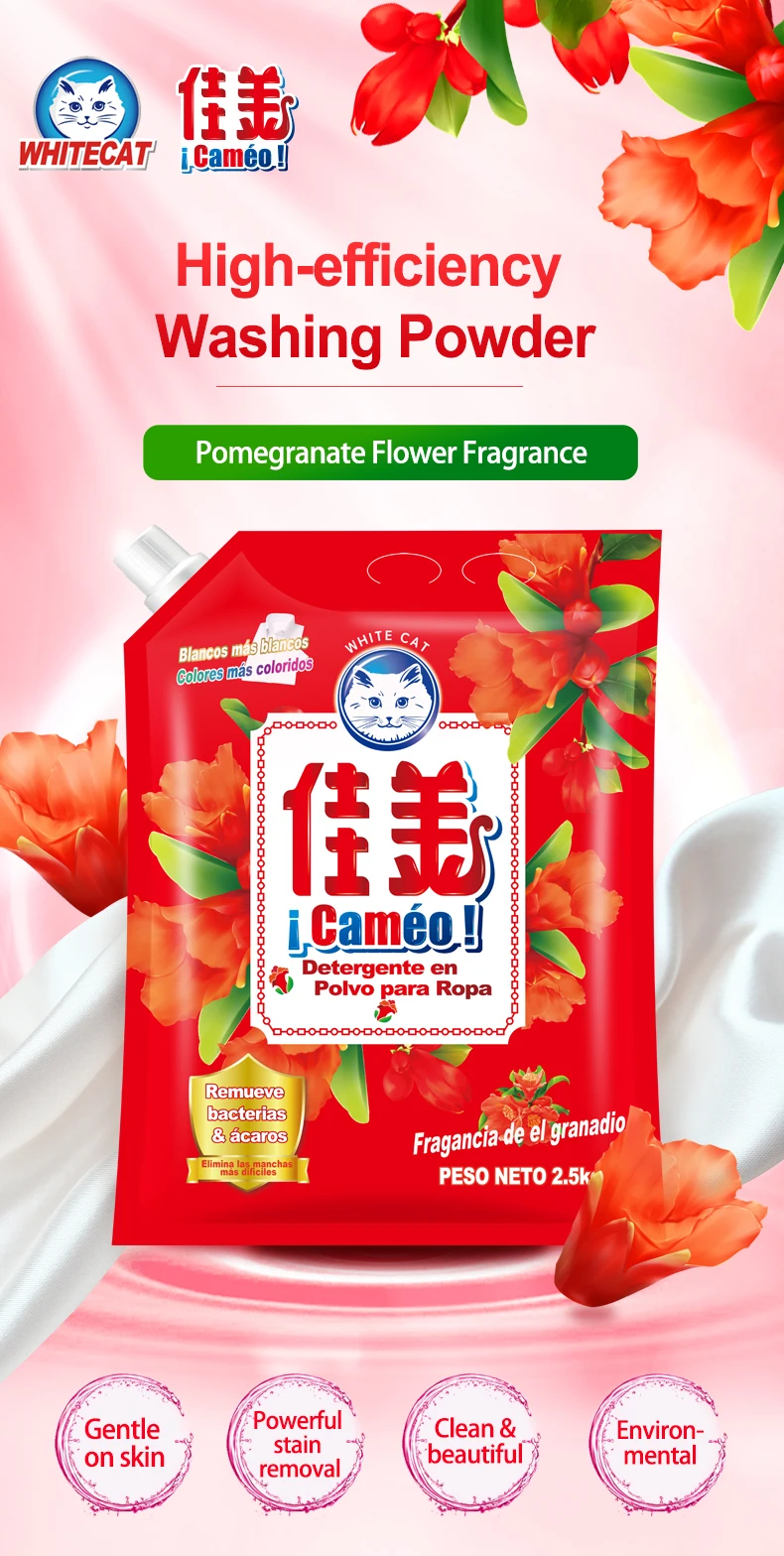 Famous detergent washing powder factory detergent powder OEM brands  factory