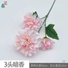 Fragancia Oscura de 3 Cabezas LS Rosa Claro