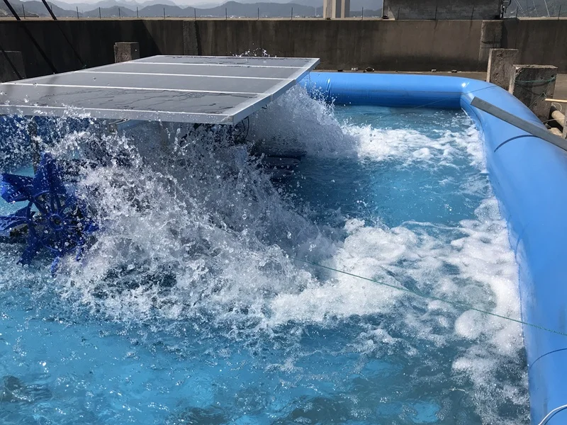 Energy Efficient Solar Power Paddle Wheel Aerator for Fish/shrimp Pond