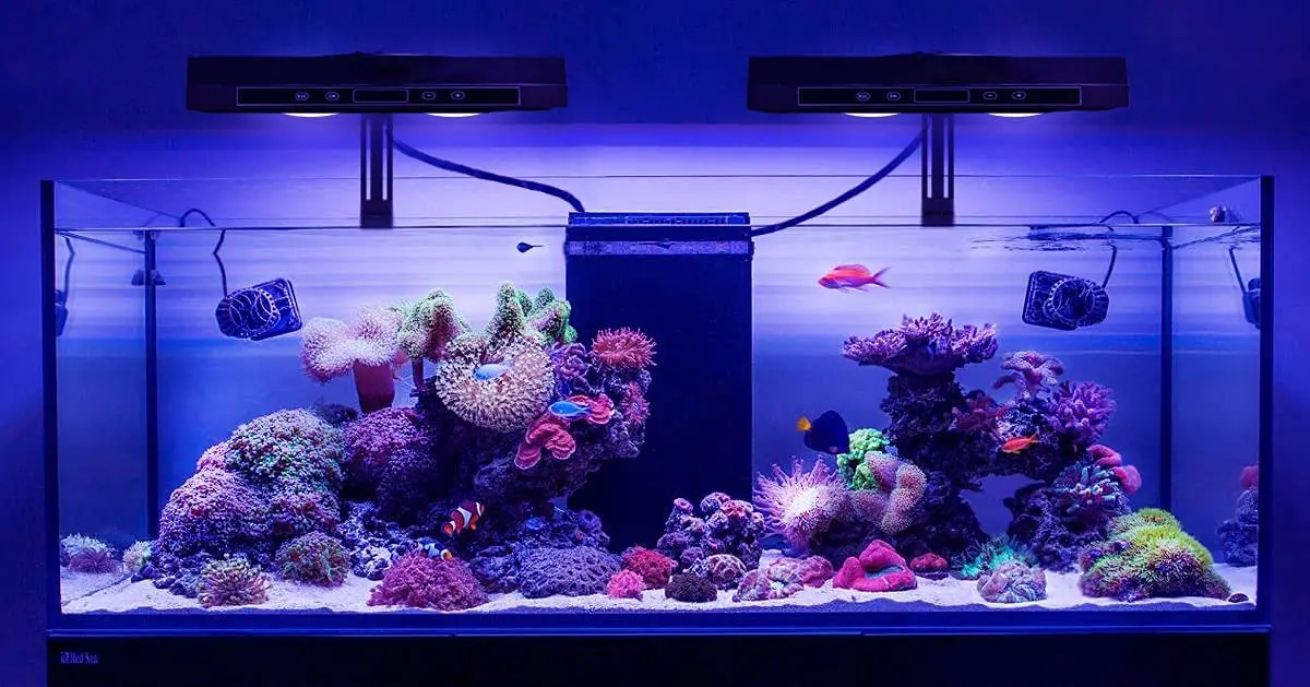 WEEK AQUA A430pro-uv 水草水槽用RGBライト WEEK AQUA A430pro-uv 水草水槽用RGBライト