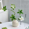 Una pequeña botella redonda de rododendro blanco.