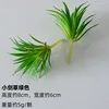Petite épée herbe verte
