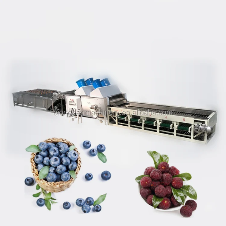 Automatic Potato Size Grading Sorting Machine Sweet Potatoes Radial Sorter and Grader Line Machines Equipment Price for Sale