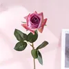 สีม่วง